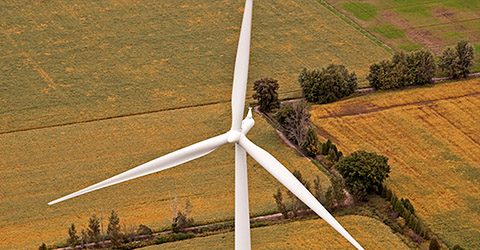 Gosfield Wind Farm Green Energy Electrical Contractor