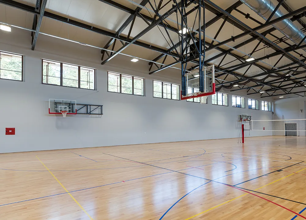 Uncover Our Electrical Solutions