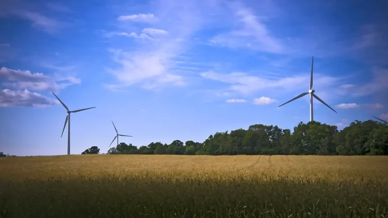 Summer Haven Wind Energy Park